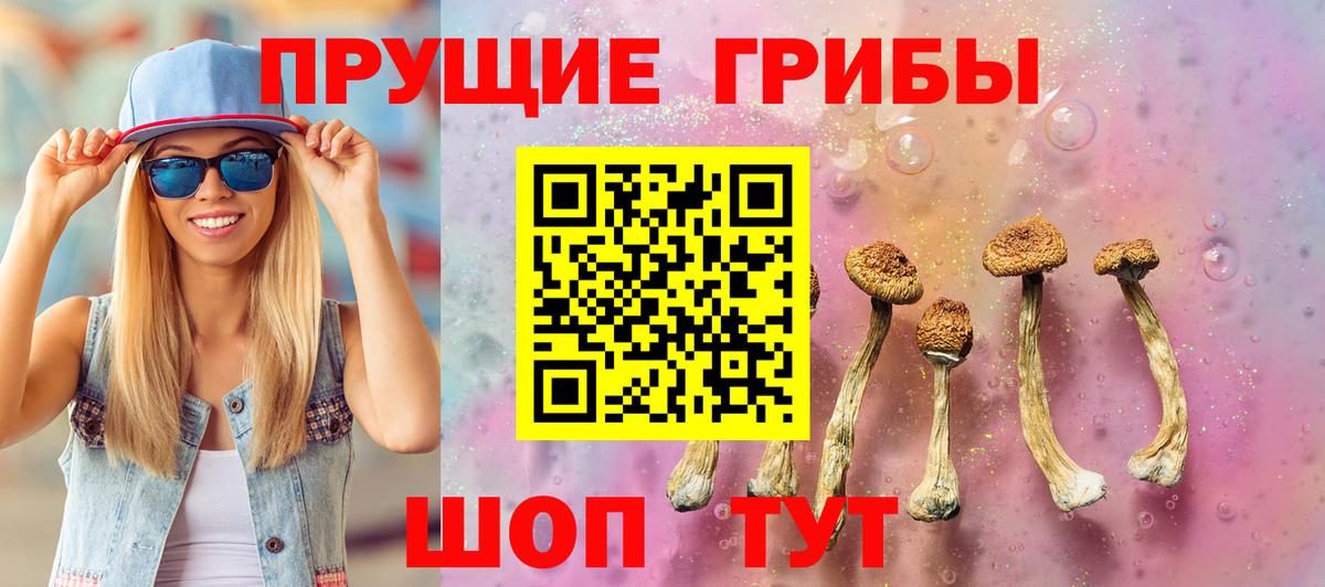 Псилоцибиновые грибы мицелий Гусиноозёрск
