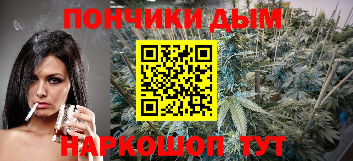 Бошки Шишки конопля Гусиноозёрск